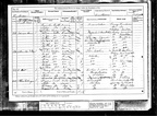 1881 Census - Wimbledon, Surrey